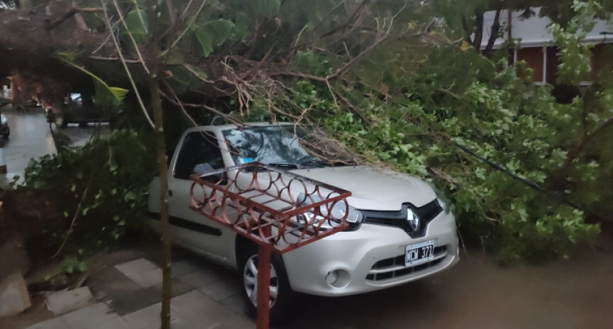 Bahía Blanca: Intensa tormenta provocó cortes de luz, voladura de techos y caída de árboles