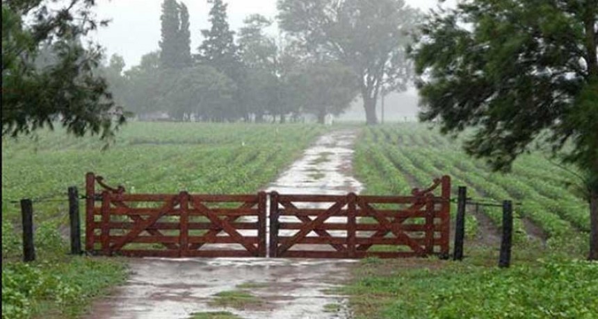 Además de destrozos y daños, el temporal de este sábado trajo las lluvias