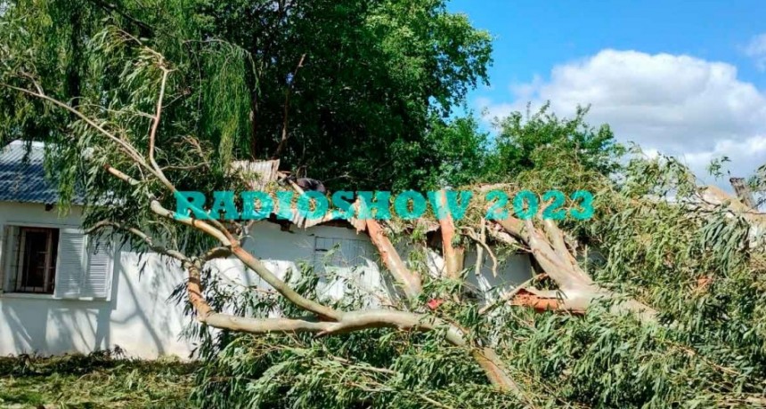 Un árbol cayó sobre una edificación en una quinta, y generó destrozos muy importantes