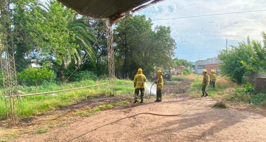 Un incendio de pastizales y un árbol, convocó a Bomberos Voluntarios