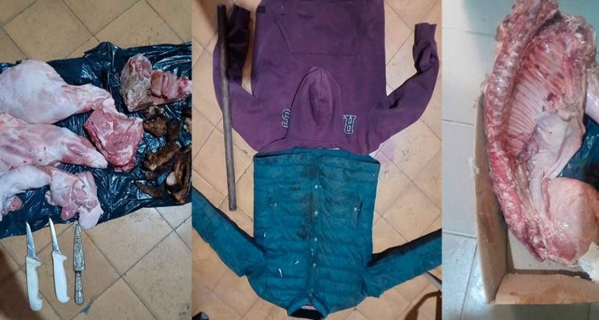 Informe Oficial Jefatura Policía Departamental: Cayó un sospechoso por dos hechos y la Policía esclareció el robo de porcinos en Bolívar