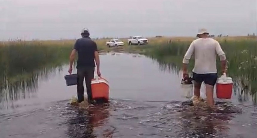 Últimos días para completar la vacunación Antiaftosa, un paso clave para proteger la producción ganadera